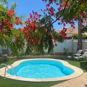 https://villa-holiday-world.in-canary-islands.com