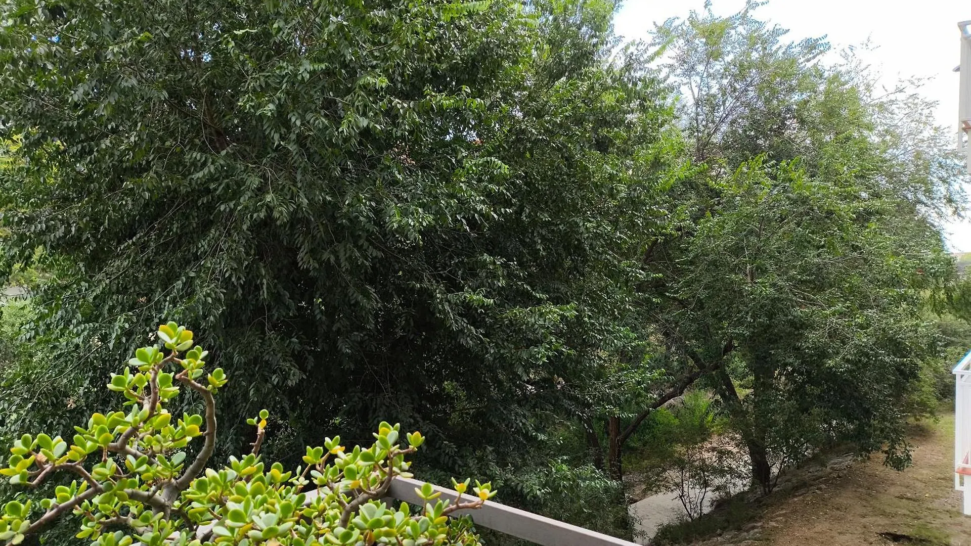Homestay Habitacion Doble Con Bano Privado Y Desayuno Incluido Viladecans