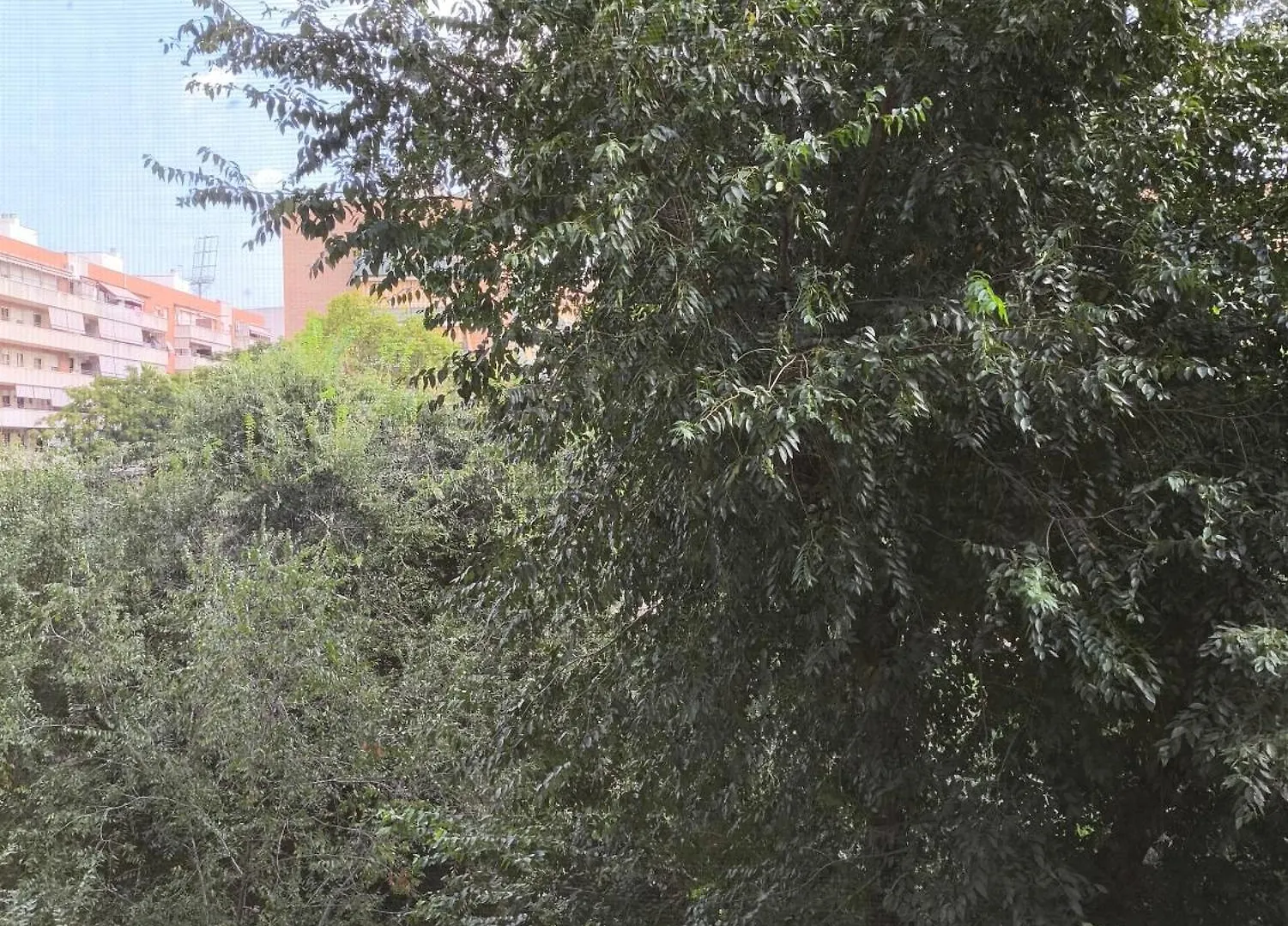 Homestay Habitacion Doble Con Bano Privado Y Desayuno Incluido Viladecans Spain